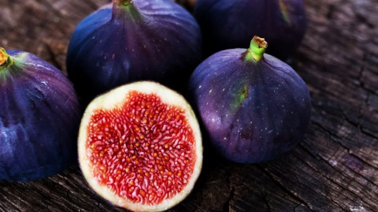 İstanbul Ticaret Borsası'ndan İncir Üretimine "Altın Tohumlar" Desteği: Üretim Fazlası Vurgusu
