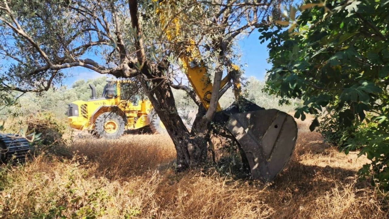 Zeytinlikler Madenciliğe Açılıyor: Teklifin İlk Maddeleri Kabul Edildi
