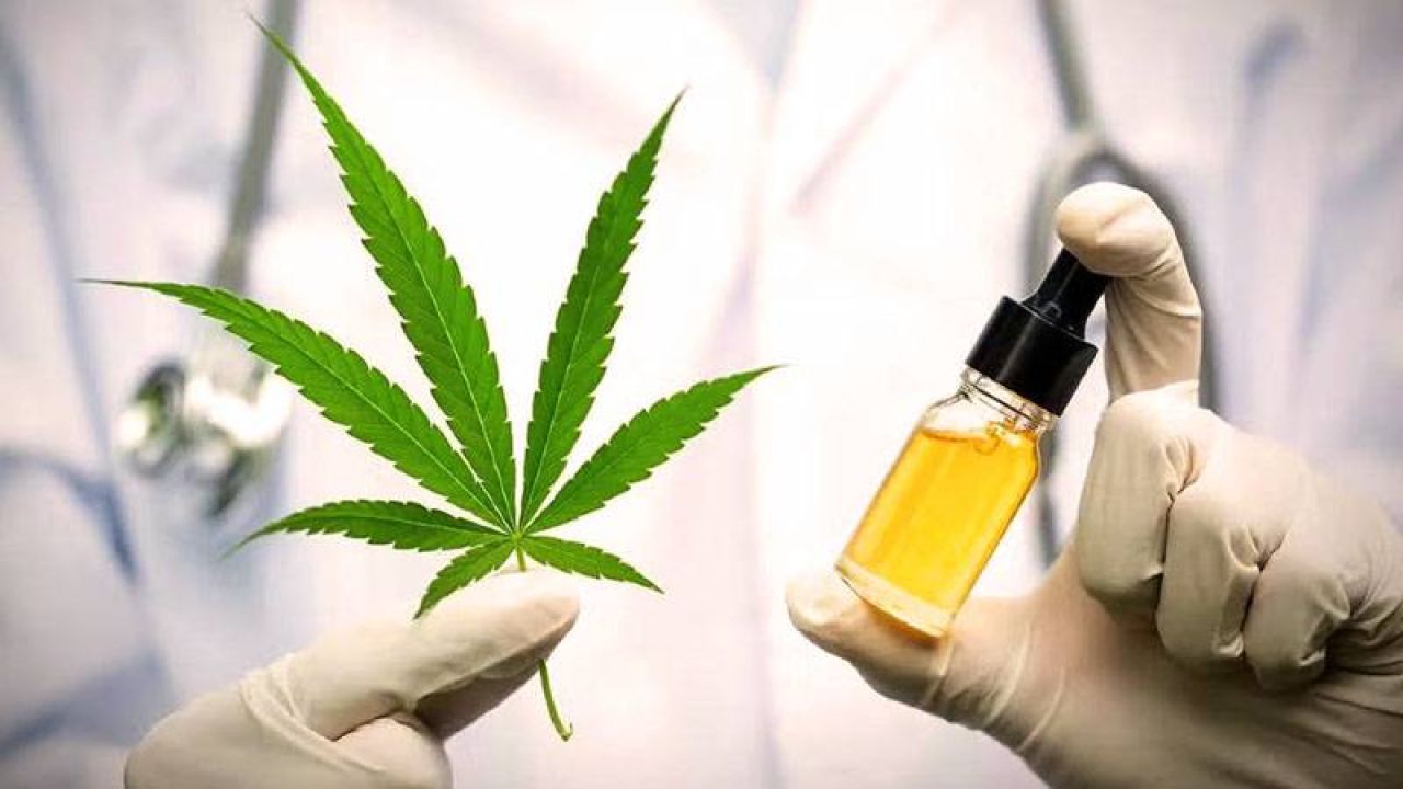 Meclis Onayladı: Tıbbi Kenevir Artık Eczanelerde
