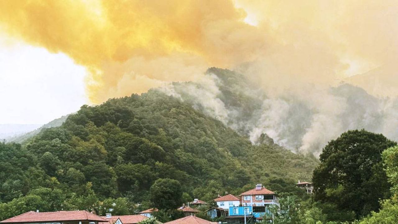 Sakarya'da Orman Yangını: D-650 Kara Yolu Ulaşıma Kapandı

