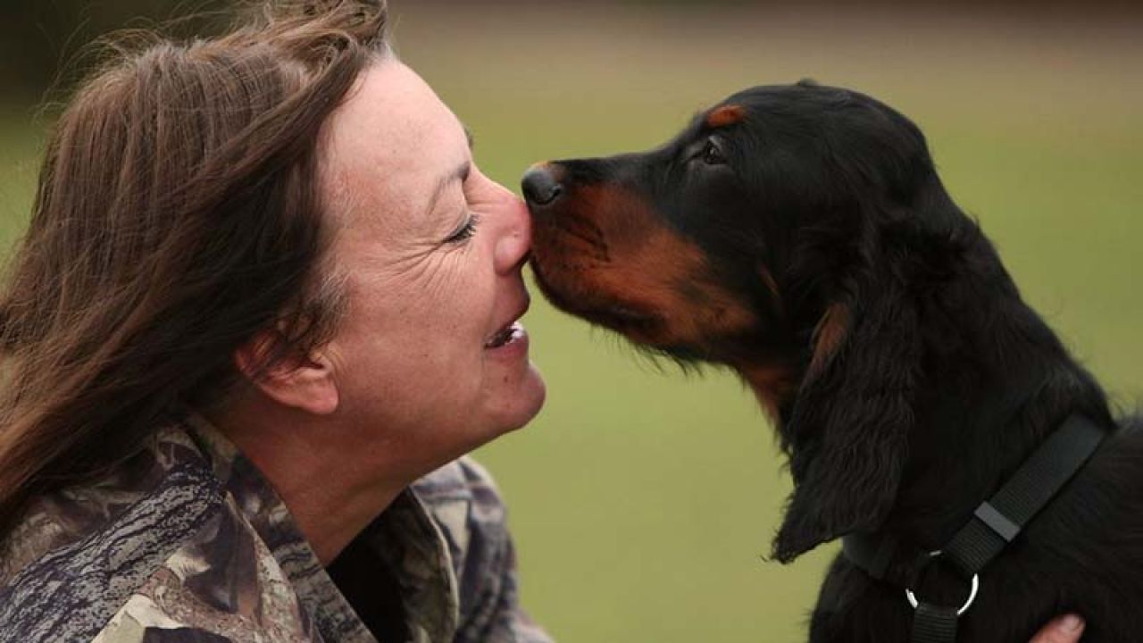 New York'ta Köpekler Artık Yasal Olarak Aile Üyesi Kabul Edilecek
