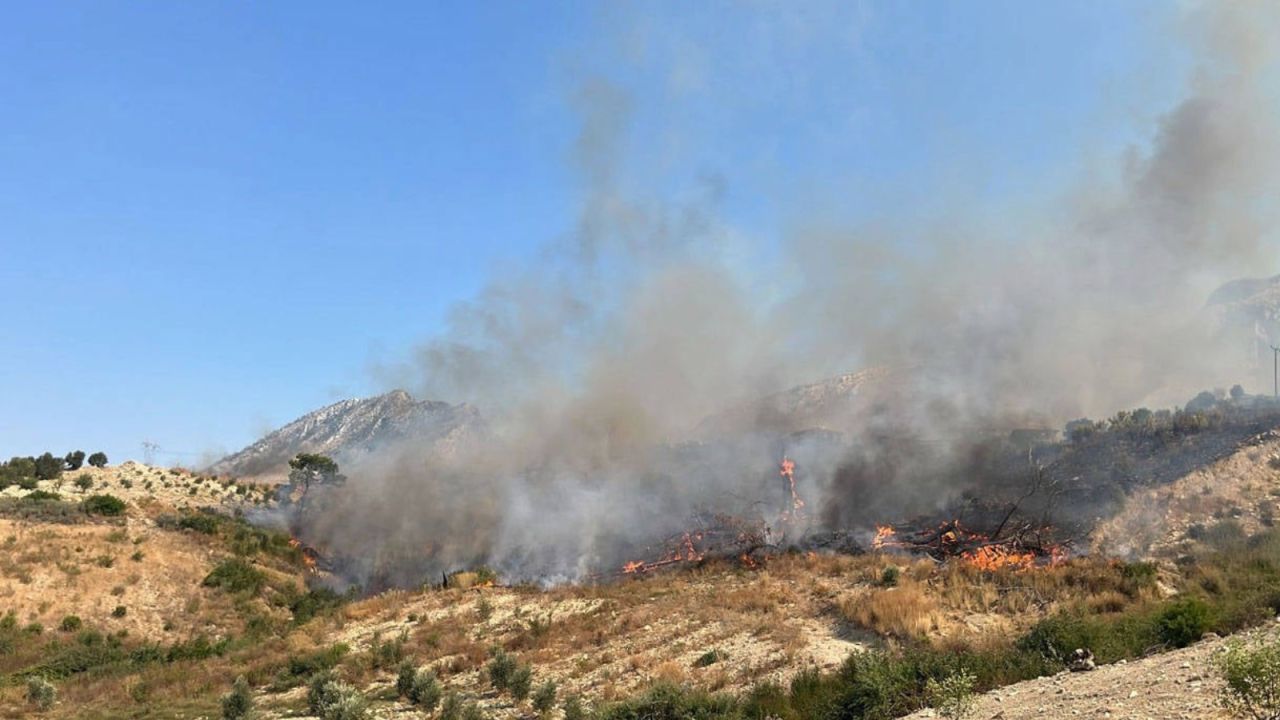 Antalya'da Orman Yangını: Müdahale Başladı
