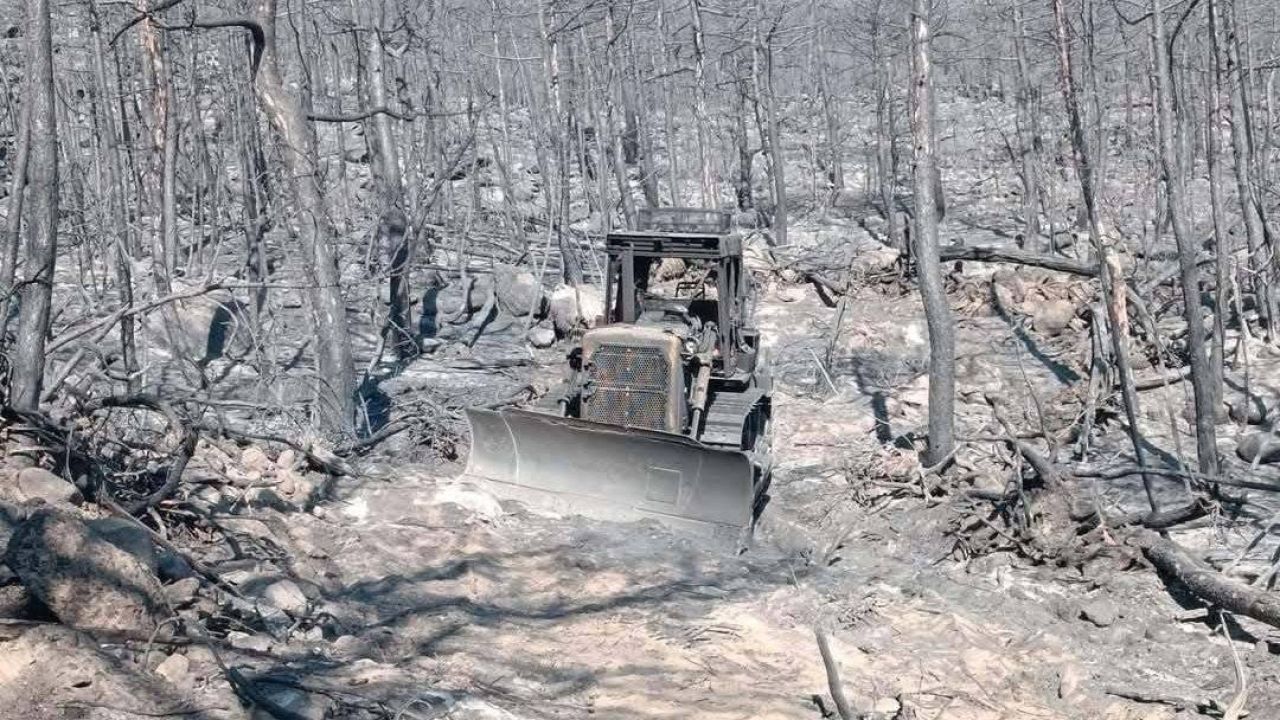 On Orman İşçisinin Hayatını Kaybettiği Alanın Fotoğrafları Ortaya Çıktı
