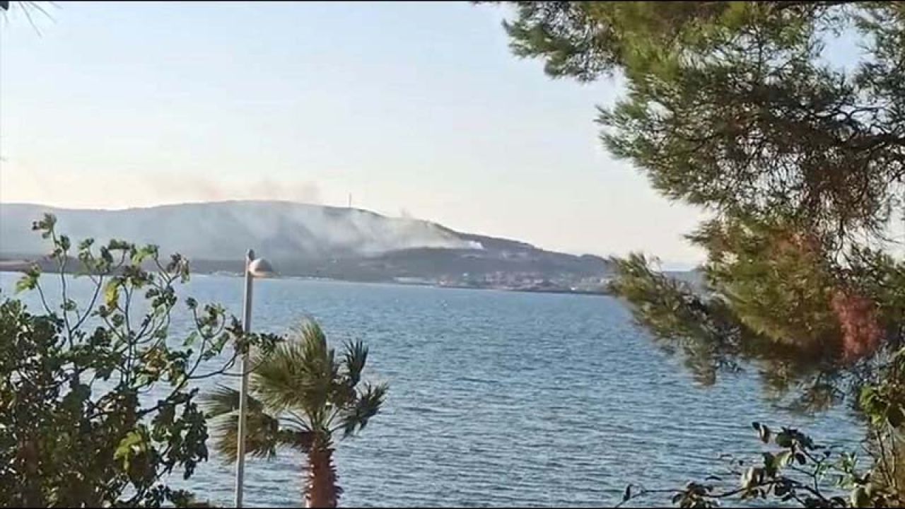 Balıkesir'in Cunda Adası'nda Orman Yangını
