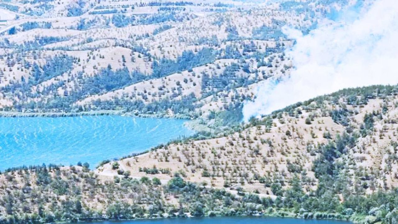 Ankara'da Orman Yangını
