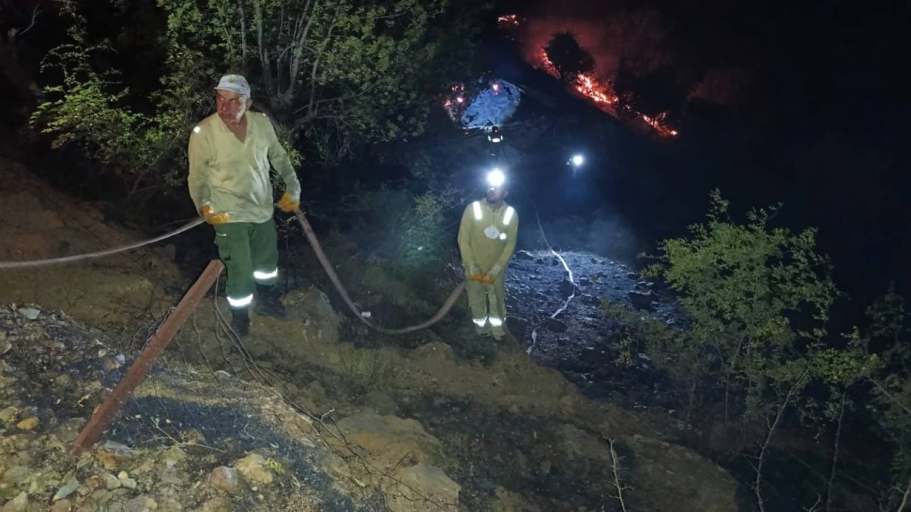 Elazığ'da Örtü Yangını, Ekipler Müdahalede
