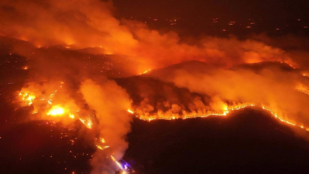 Bursa'da Yanan Ormana Maden Sahası İlanı
