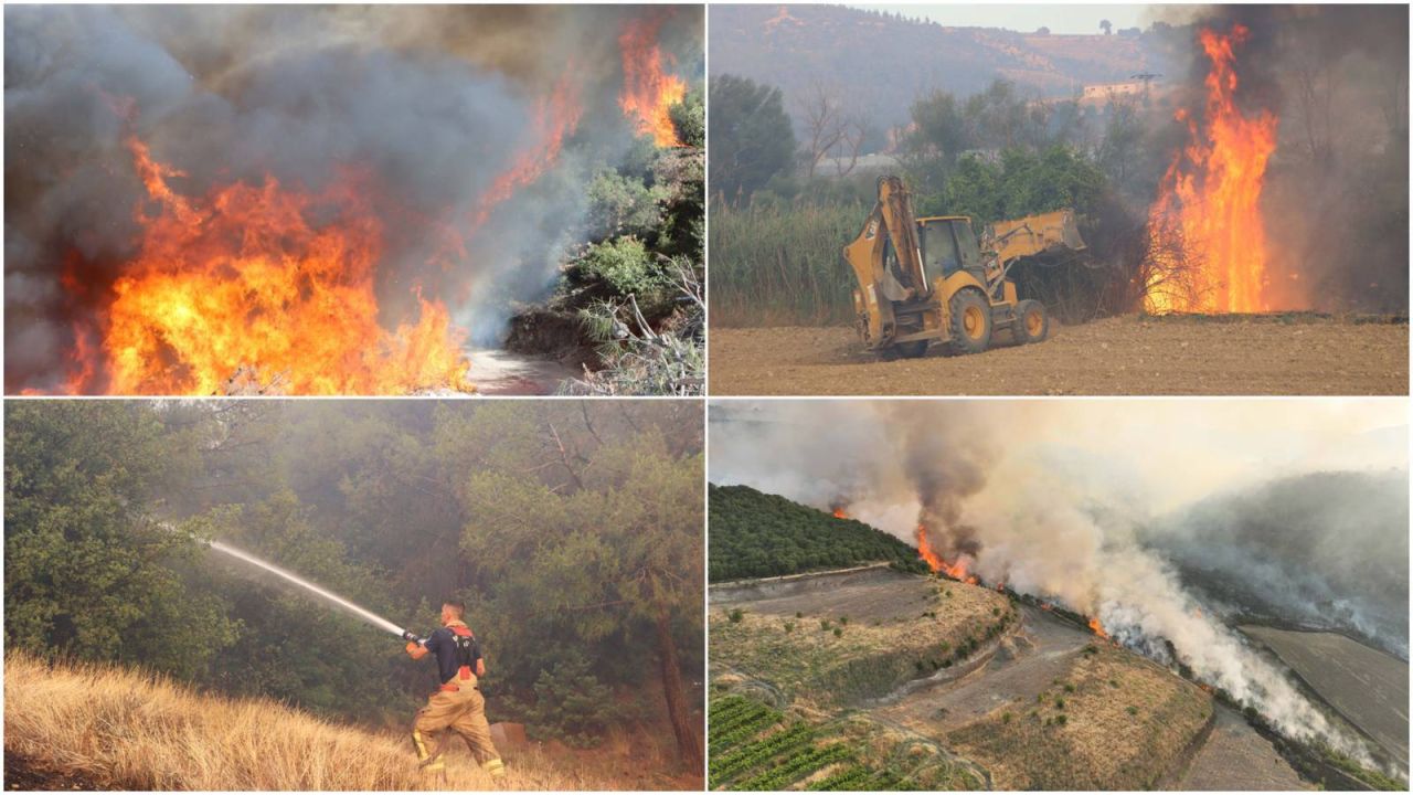 Dem Parti'den Orman Yangınları İçin Meclis Araştırması Talebi
