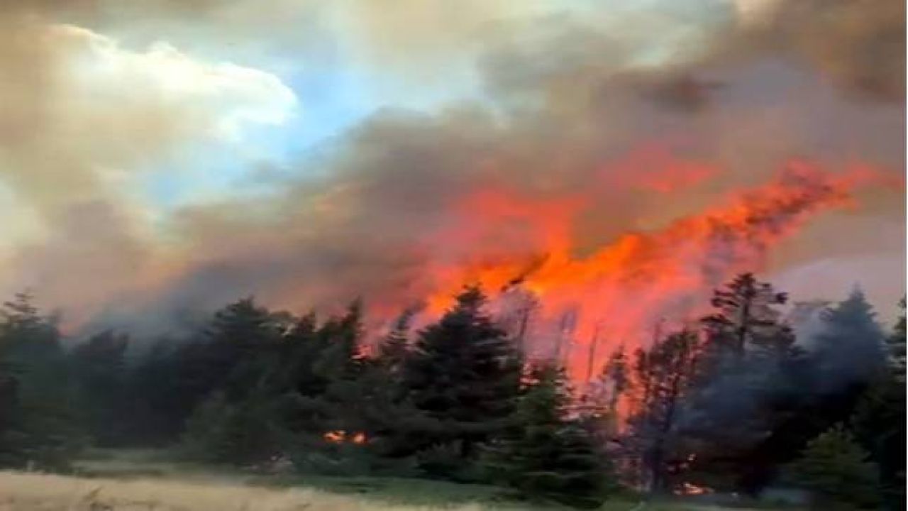 Çankırı'da Orman Yangını

