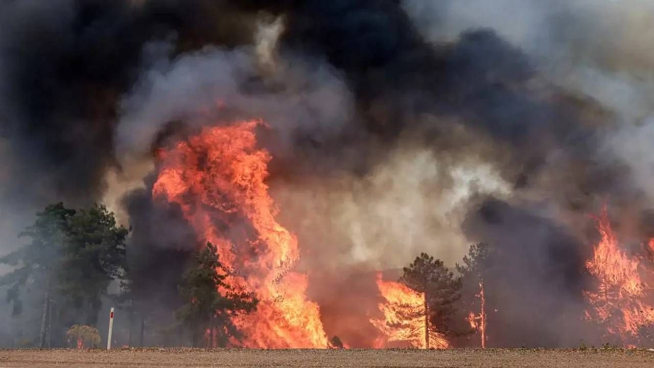 Bursa'da Havai Fişek Yangınlarına Karar: Üç Çocuk Ağaç Dikecek, Biri Ev Hapsinde
