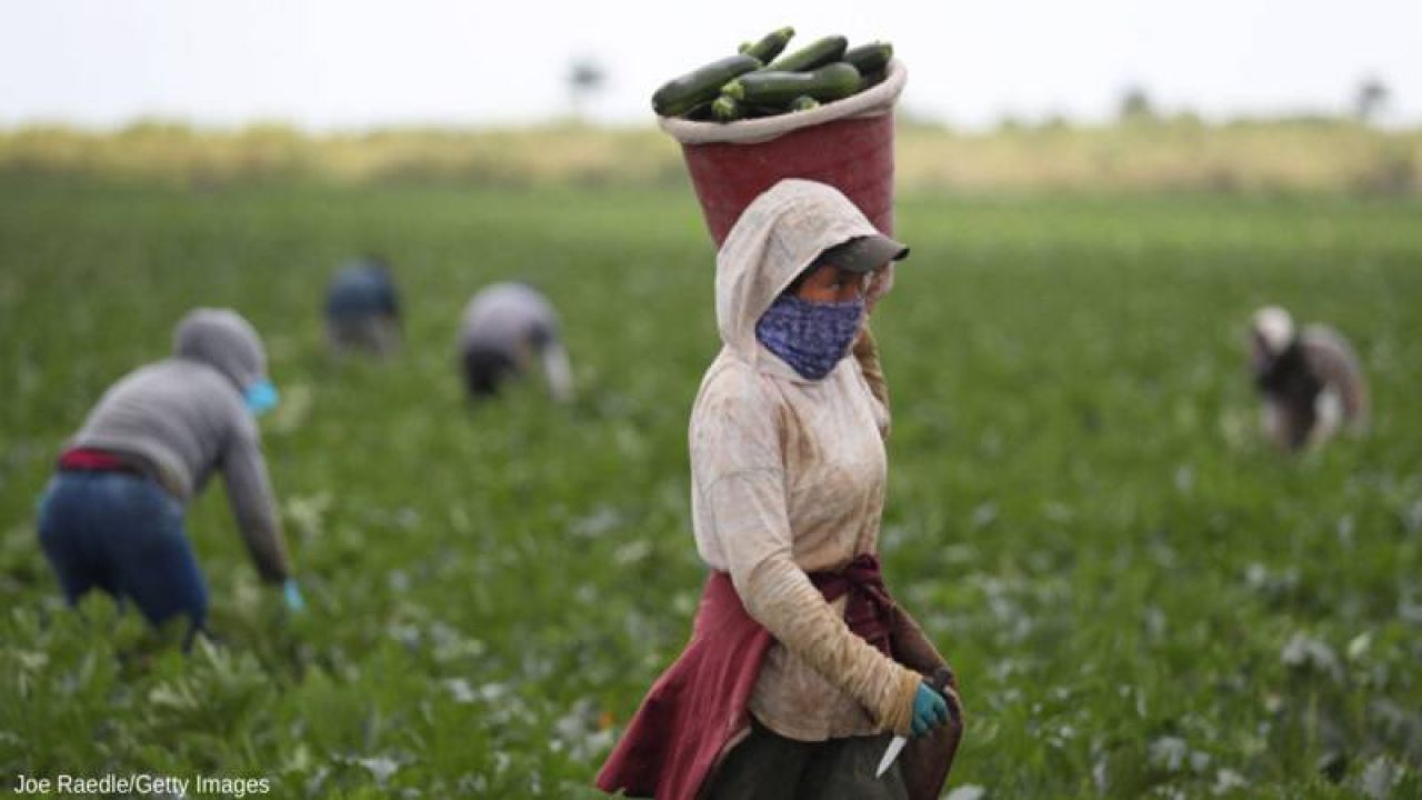 Chp'den Kuraklık Mağduru Çiftçilere Destek Çağrısı
