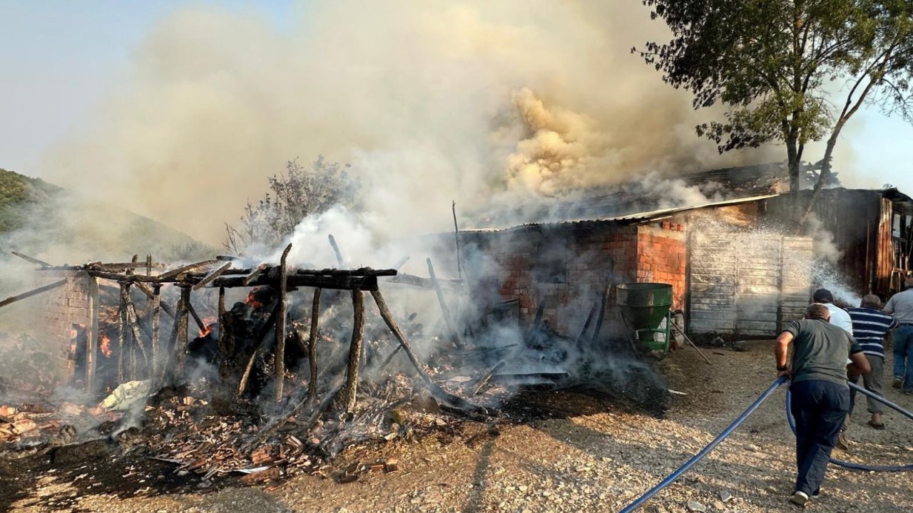 Kocaeli'de Depo Yangını: Yüksek Miktarda Saman Ve Yem Kül Oldu
