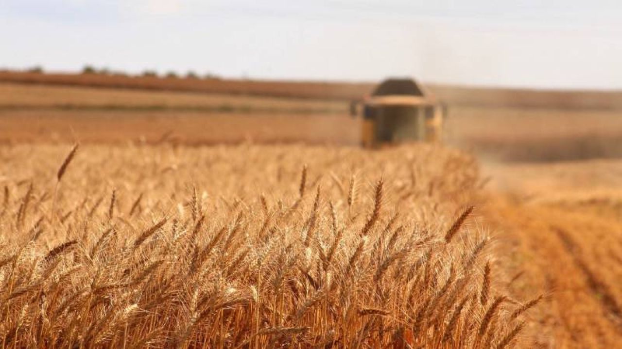 Türkiye'de Binlerce Tarla Ve Ekipman İcradan Satışa Çıkarıldı
