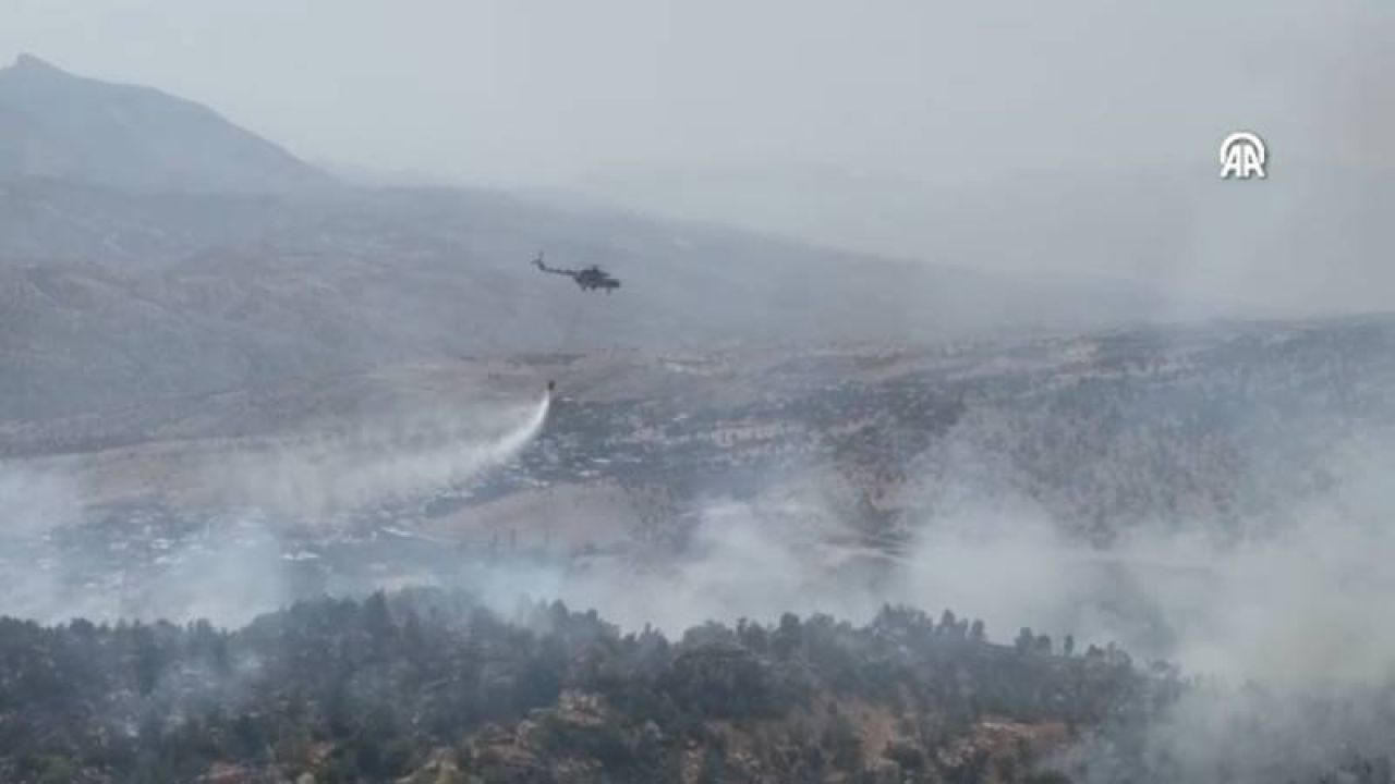 Şırnak'ta Orman Yangını: Müdahale Sürüyor
