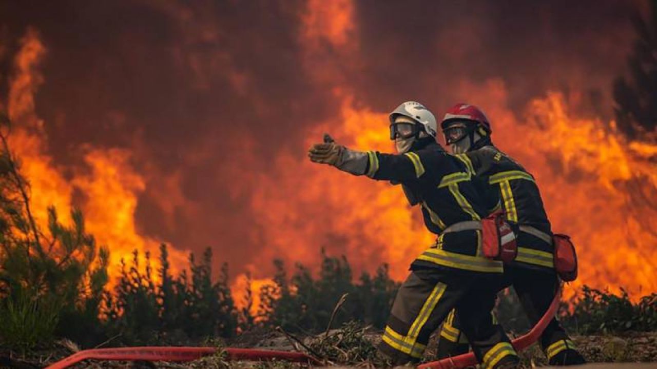 Tarım Orman-İş Genel Başkanı'ndan Yangınlarda 'Stratejik Başarısızlık' Vurgusu
