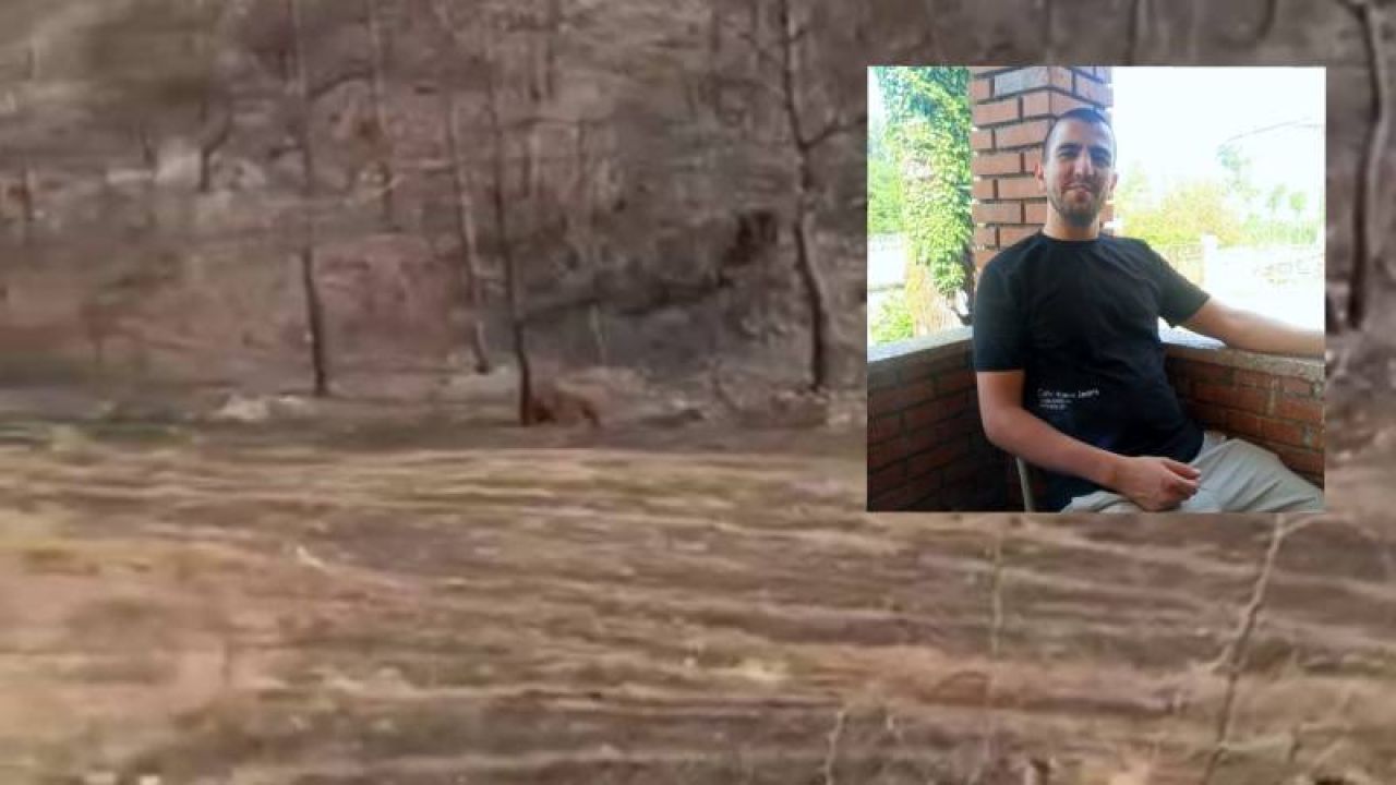 Yanan Ormanda Bulunan Erkek Cesedinin Kimliği Belirlendi: 9 Gündür Kayıpmış
