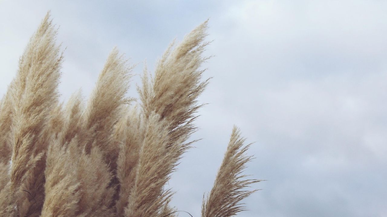 Bursa Valiliği'nden Fırtına Uyarısı
