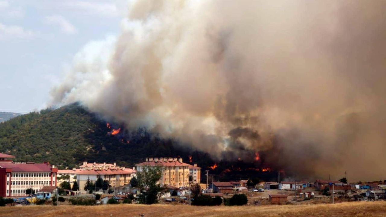 Edirne'de Makilik Yangını Tarlaya Sıçradı
