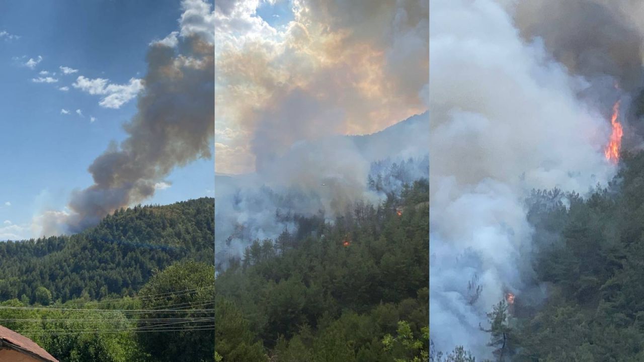 Karabük'te Orman Yangını Çıktı
