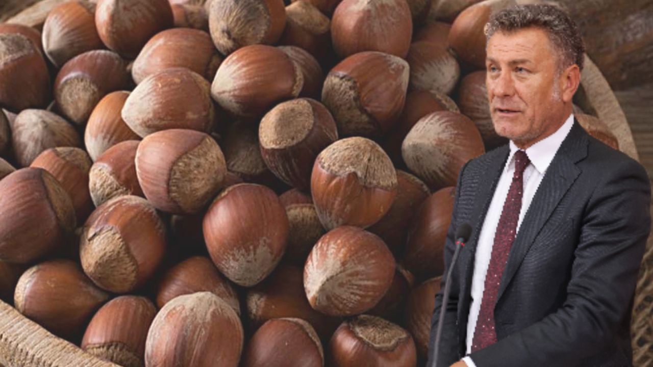 Chp'li Sarıbal: Tmo, Fındıkta Üreticiye Zararına Satış Dayatıyor
