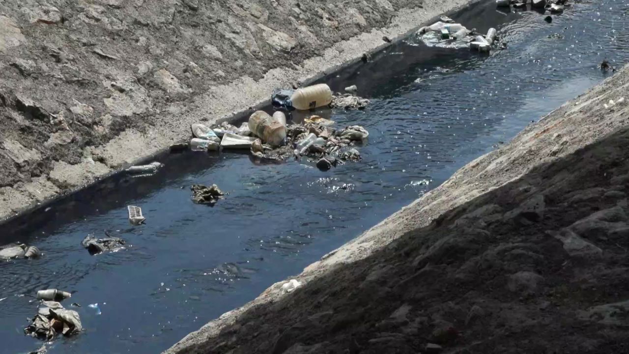 İstanbul'da Dere, Atıklar Nedeniyle Renk Değiştirdi: "Hayvanlar Ölüyor"
