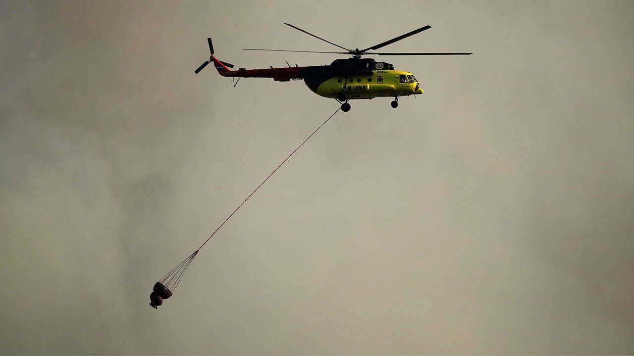 İzmir'de Orman Yangını: Ekipler Sevk Edildi, Müdahale Sürüyor
