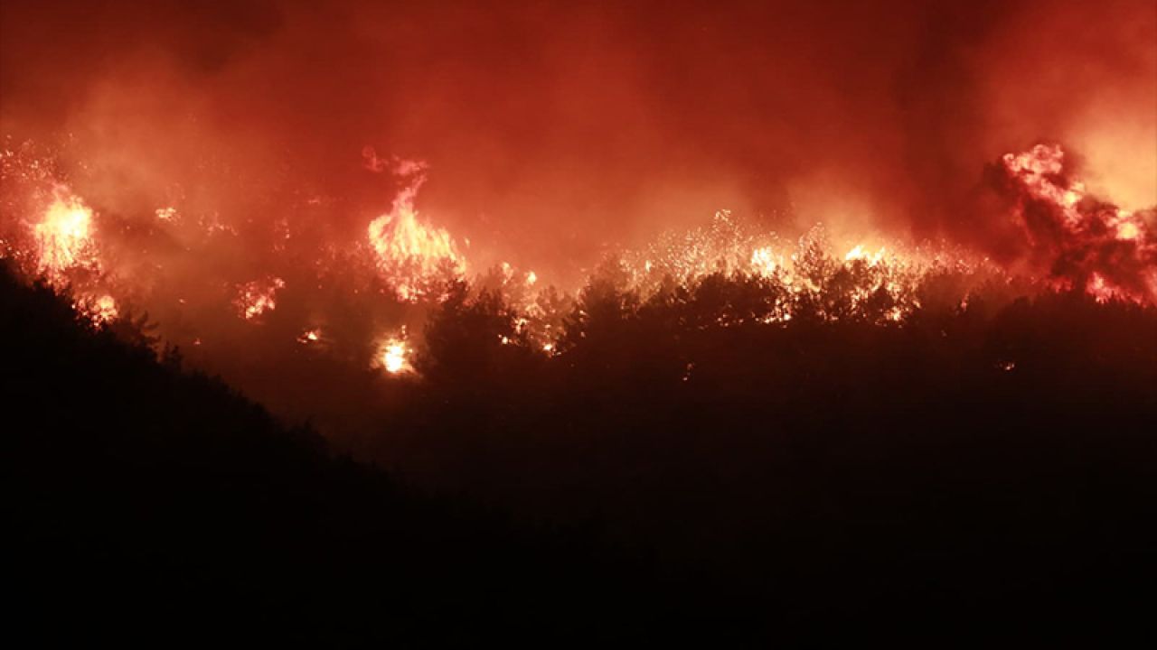 Hatay Hassa'da Orman Yangını: Mahalle Boşaltıldı
