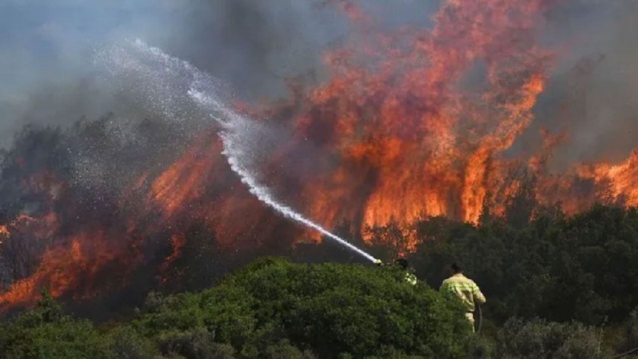 İzmir'deki Orman Yangınında Bir Şüpheli Tutuklandı
