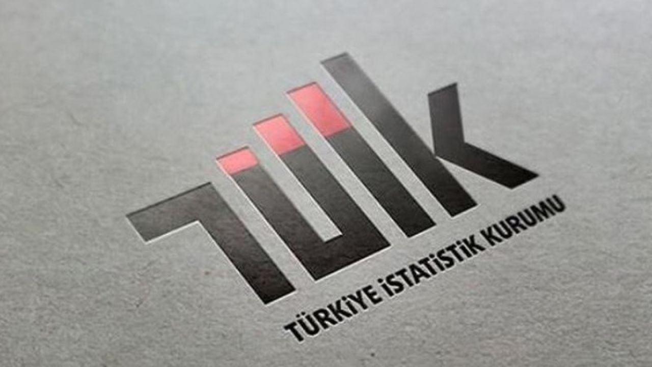 Tüik, Sosyoekonomik Seviye 2023 Bültenini Yayımlayacak

