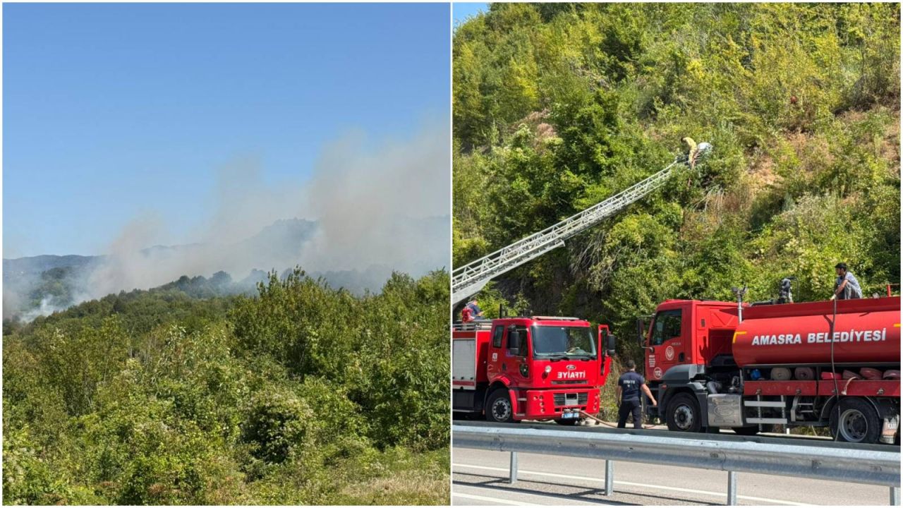 Bartın'da Orman Yangını, Ekipler Seferber
