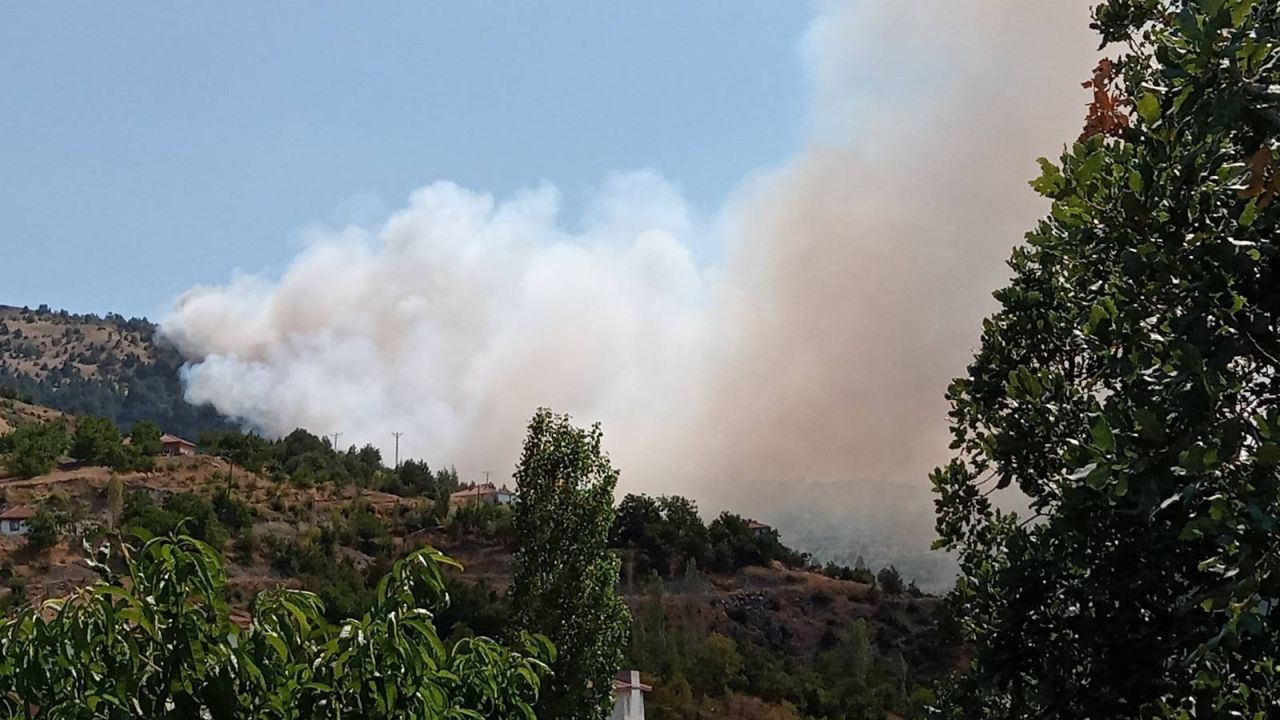 Çorum'da Orman Yangını, Söndürme Çalışmaları Sürüyor
