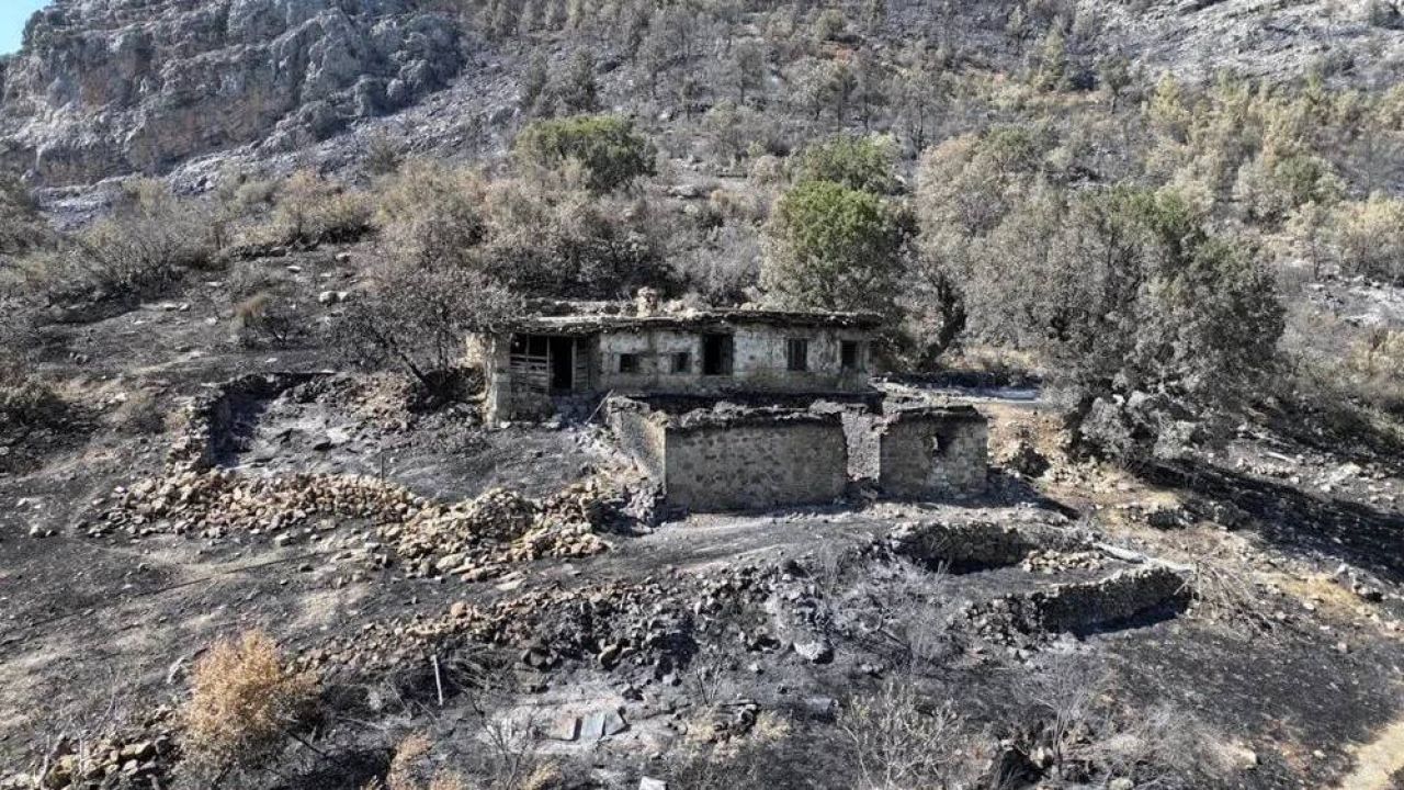 Mersin'deki Yangın Mağdurlarına Konteyner Desteği
