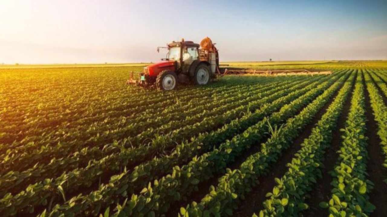 Tarımsal Girdi Enflasyonu Haziranda Yükselişini Sürdürdü
