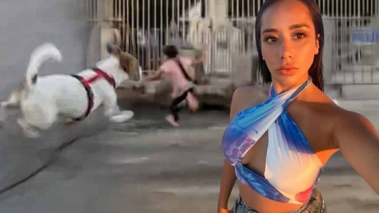 Dijan Köse'nin Paylaşımı Tepki Çekti: Köpekten Korkan Çocuk Denize Atladı
