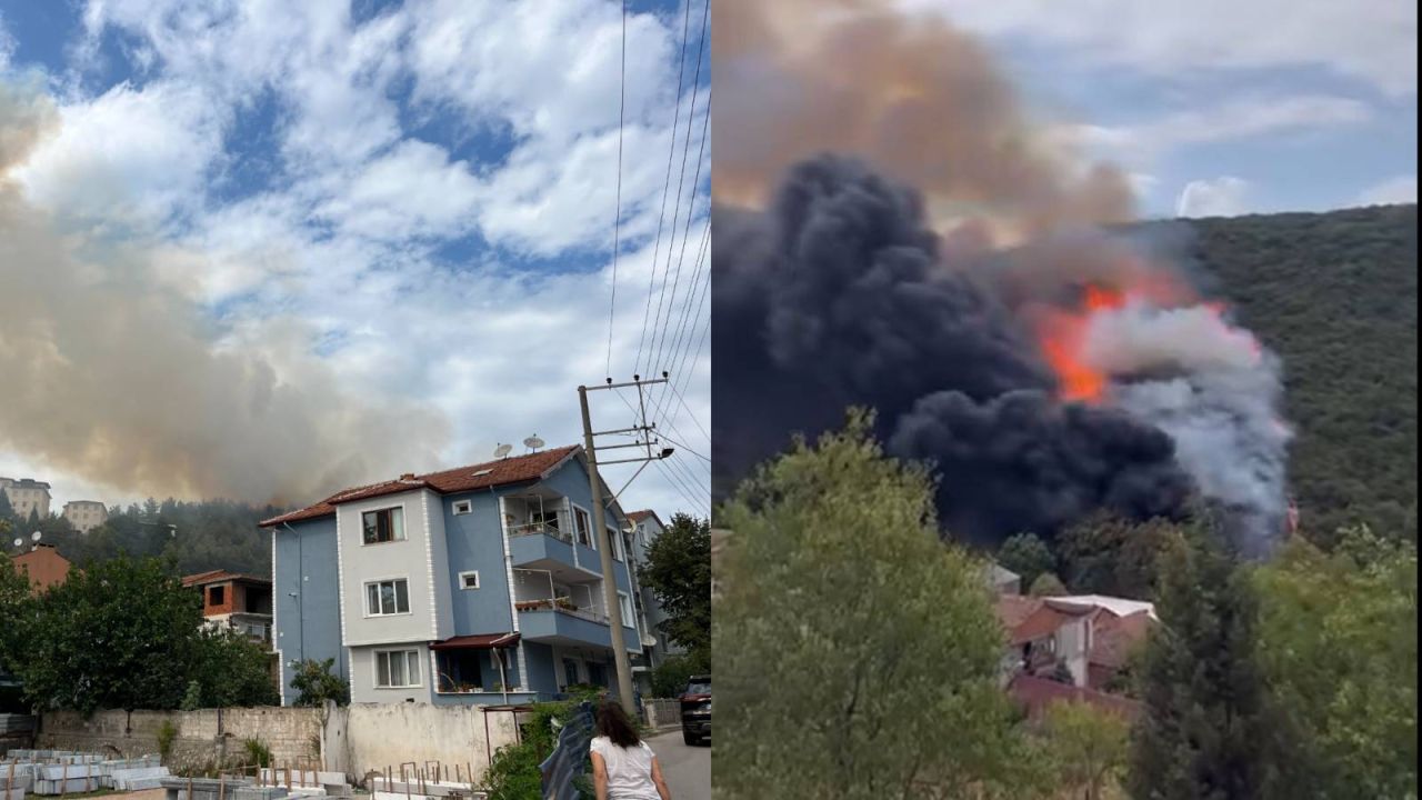 Kocaeli'de Orman Yangını Ekipler Müdahale Ediyor

