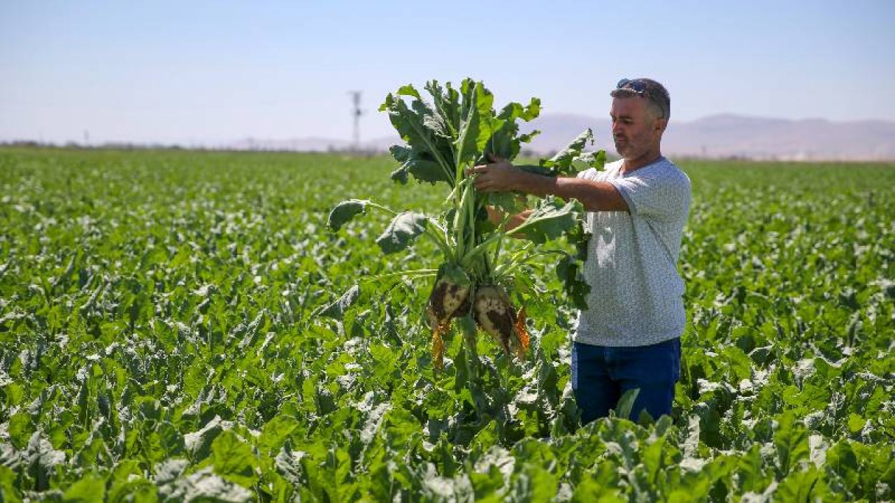 Zirai Dondan Etkilenen Üreticiye Kasım Ayına Kadar 46,5 Milyar Lira Ödeme
