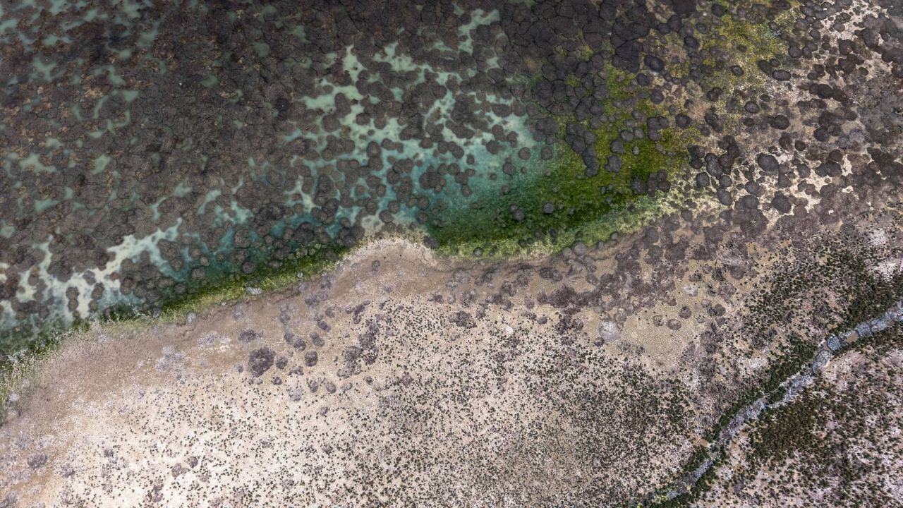 Konya'da Baraj Alarm Veriyor: Su Seviyesi Kritik Eşikte
