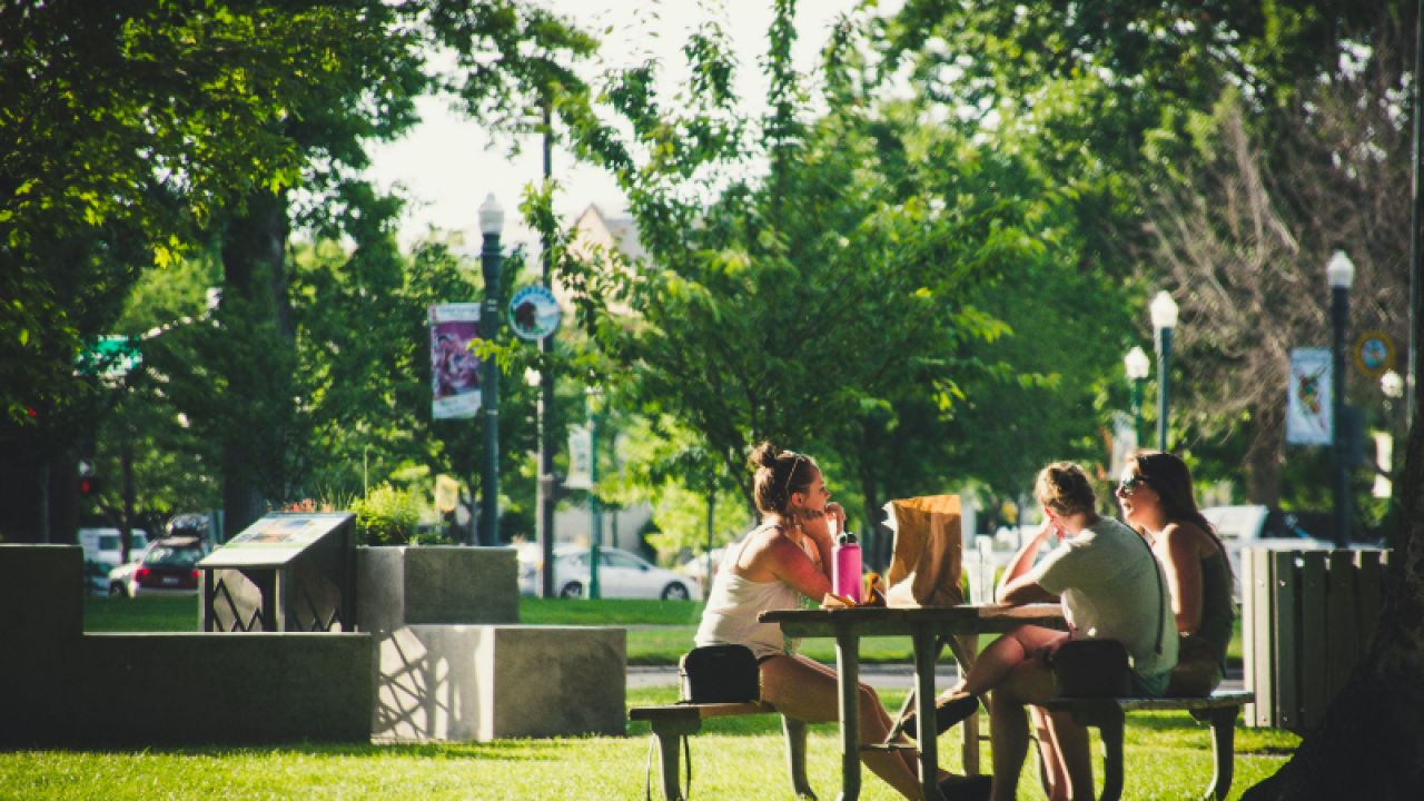 Ankara'da Ateşli Piknik Yasağı Uzatıldı
