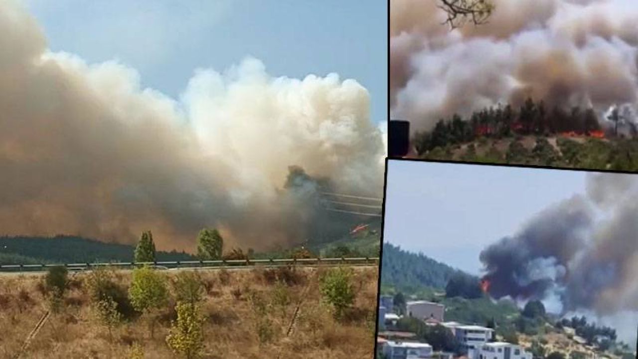 Bursa'da Orman Yangını: Rüzgarla Hızla Yayılıyor
