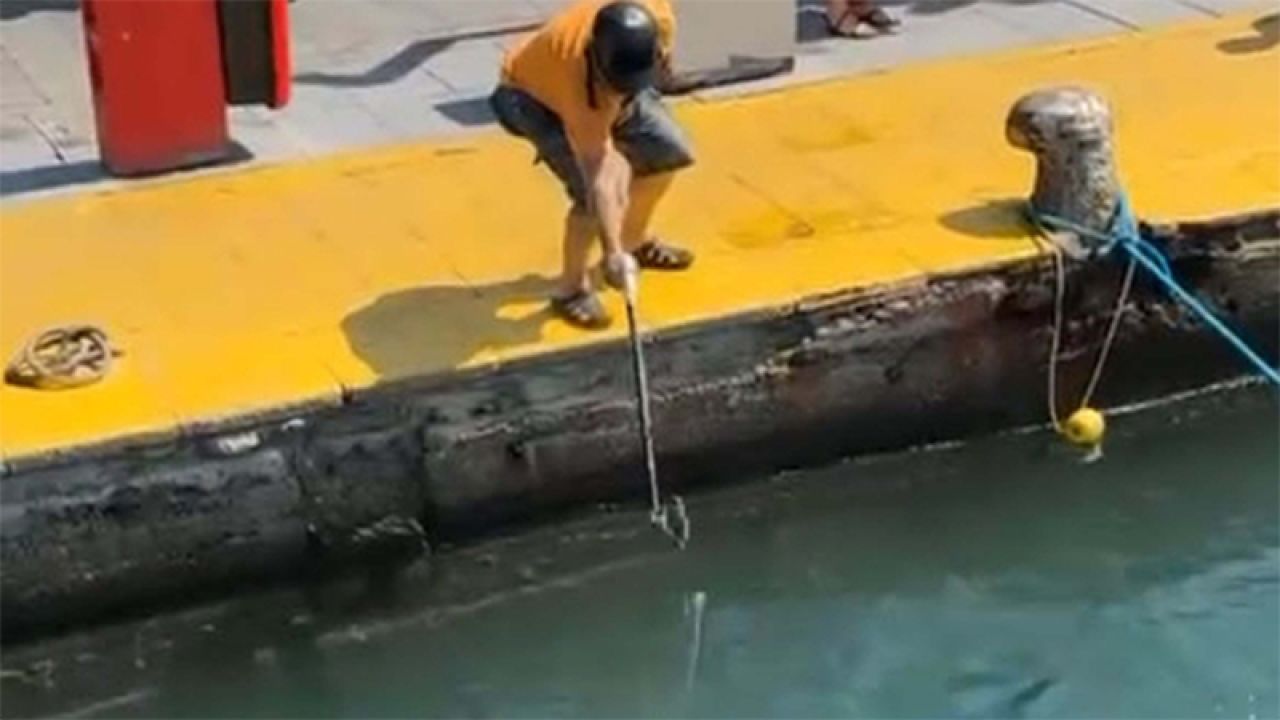 Nesli Tükenmekte Olan Mavi Yelken Balığını Zıpkınla Vurdu, Bakanlık Ceza Kesti
