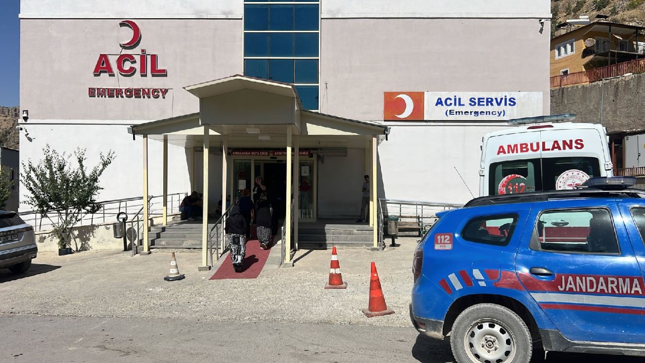 Ceviz Ağacından Düşen Şahıs Hayatını Kaybetti
