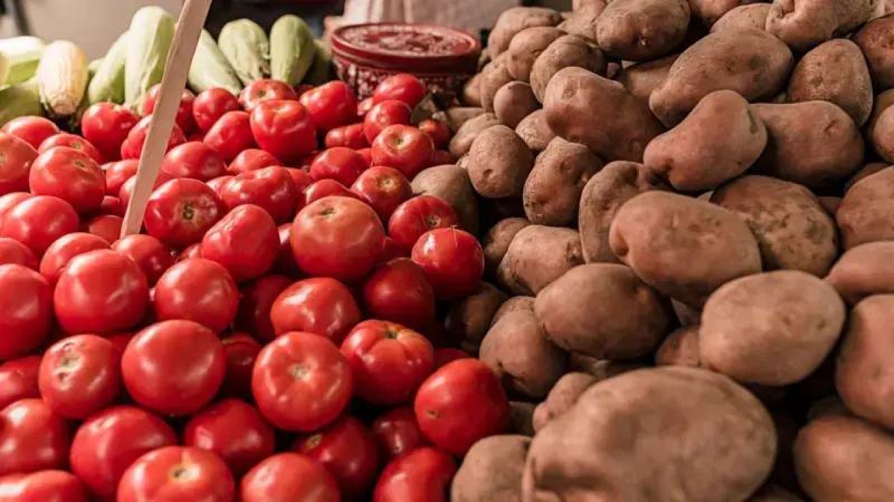 Patatesin Varlığı Domatese Neden Bağlıydı?
