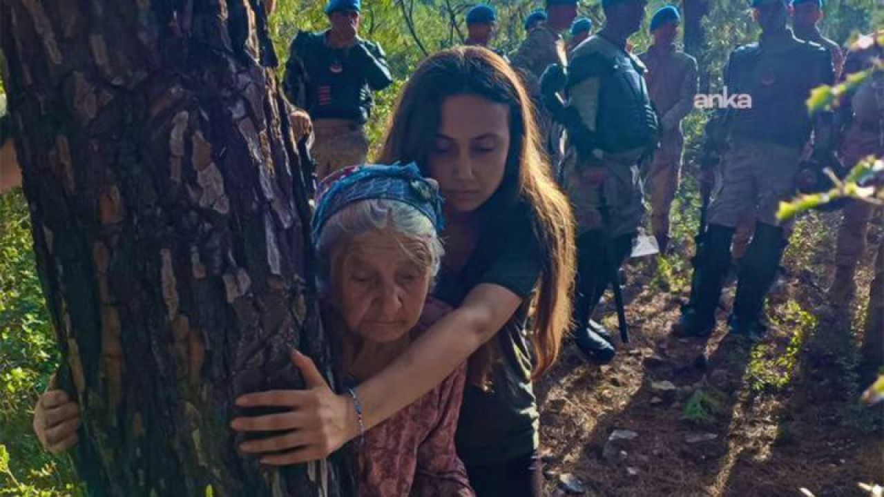 TİP Sözcüsü Kadıgil: Zeytin, Hayvan, İnsan Ve Su Düşmanı Şirket Talimatını 'Kanun' Deyip Geçirdiler!
