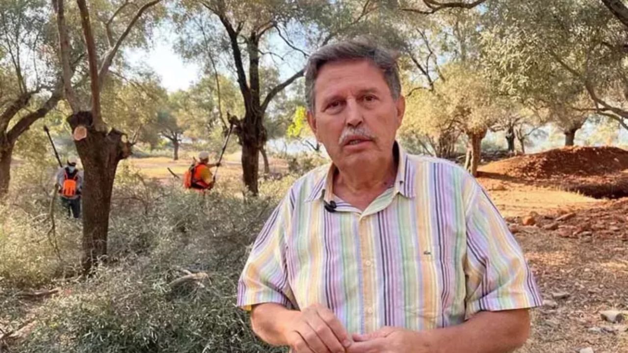 Akbelen'de Zeytin Ağaçlarının Sökümüne Onay Veren Ve Bölgede Çalışan Kişi Akp'li Çıktı
