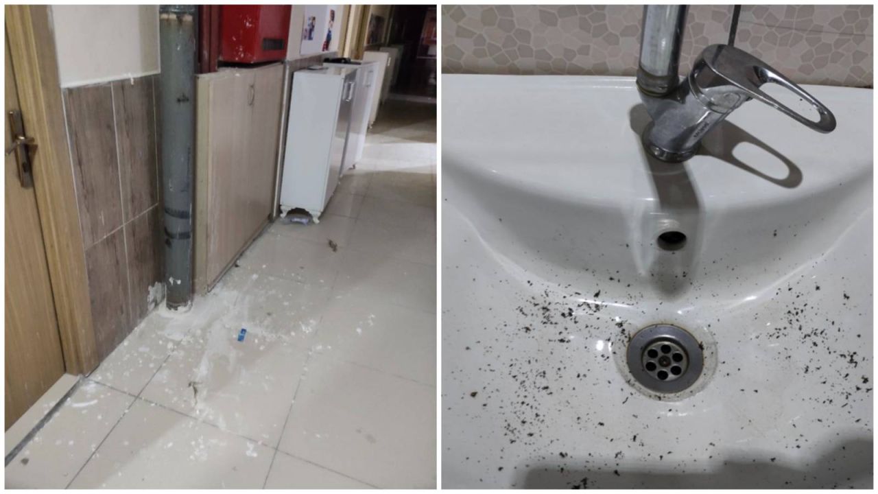 Chp'li Tanal'dan Kyk Yurtları İçin İddia: Öğrenciler İnsan Onuruna Aykırı Koşullarda Kalıyor
