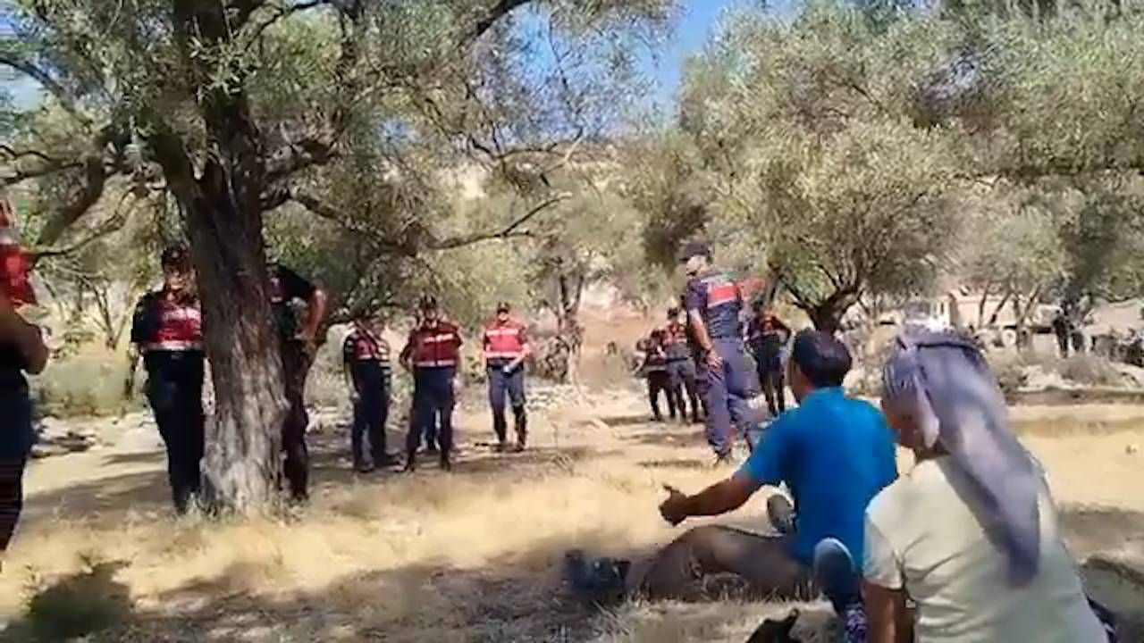 Akbelen'de Zeytin Ağaçları Kesildi: Kanun Mücadelesi Durdurulamaz
