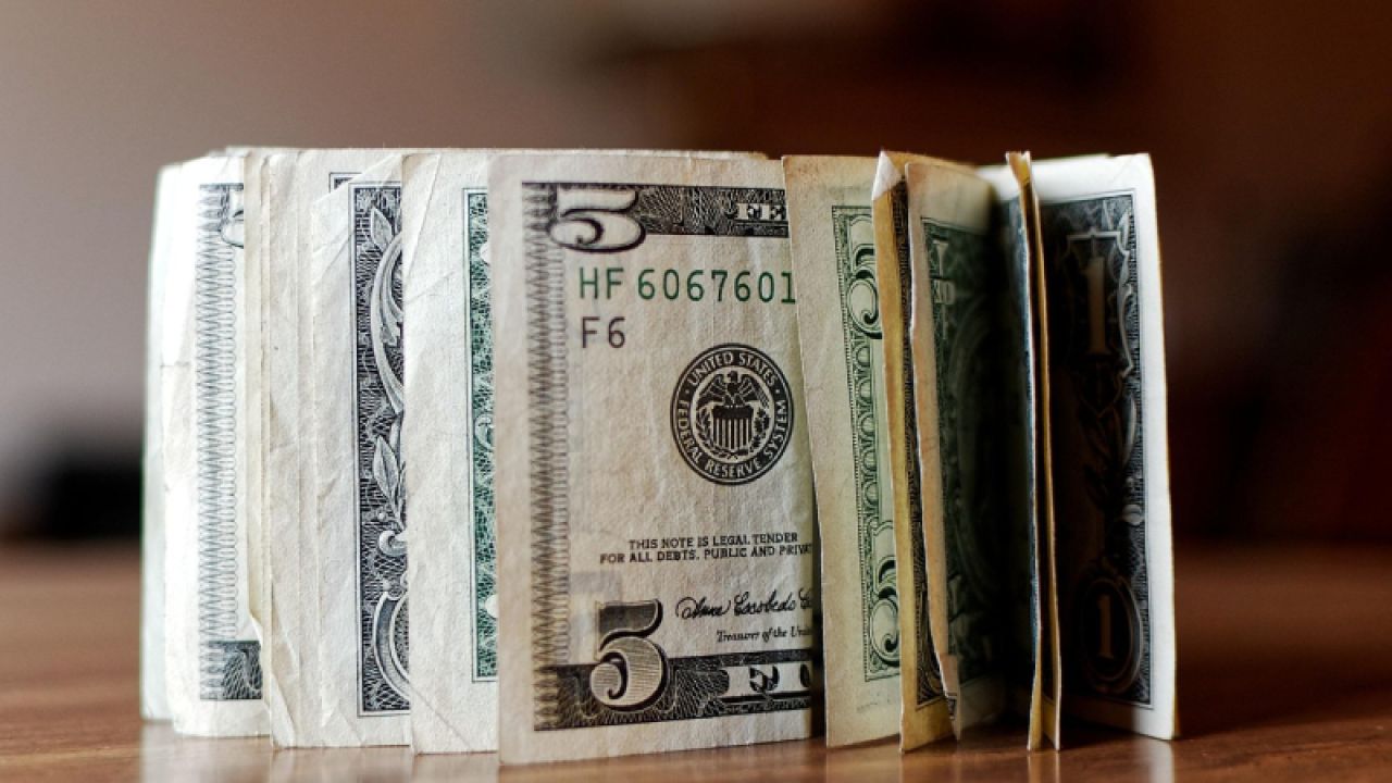 Merkez Bankası, Görevden Almanın Ardından Döviz Alımına Yeniden Başladı
