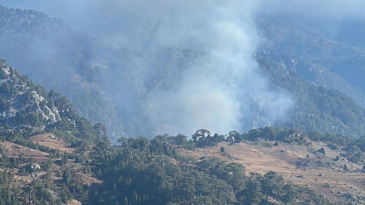 Muğla'da Orman Yangını: Söndürme Çalışmaları Devam Ediyor
