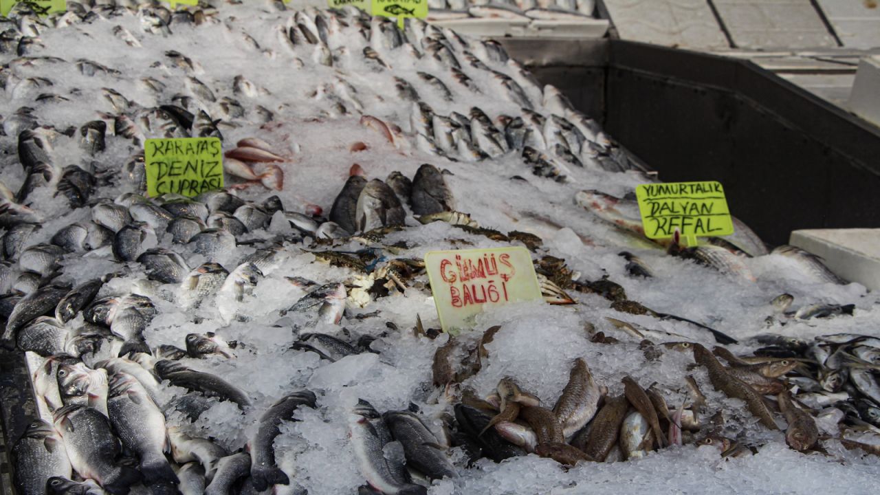 Av Yasağı Bitti, Balık Fiyatları Düştü

