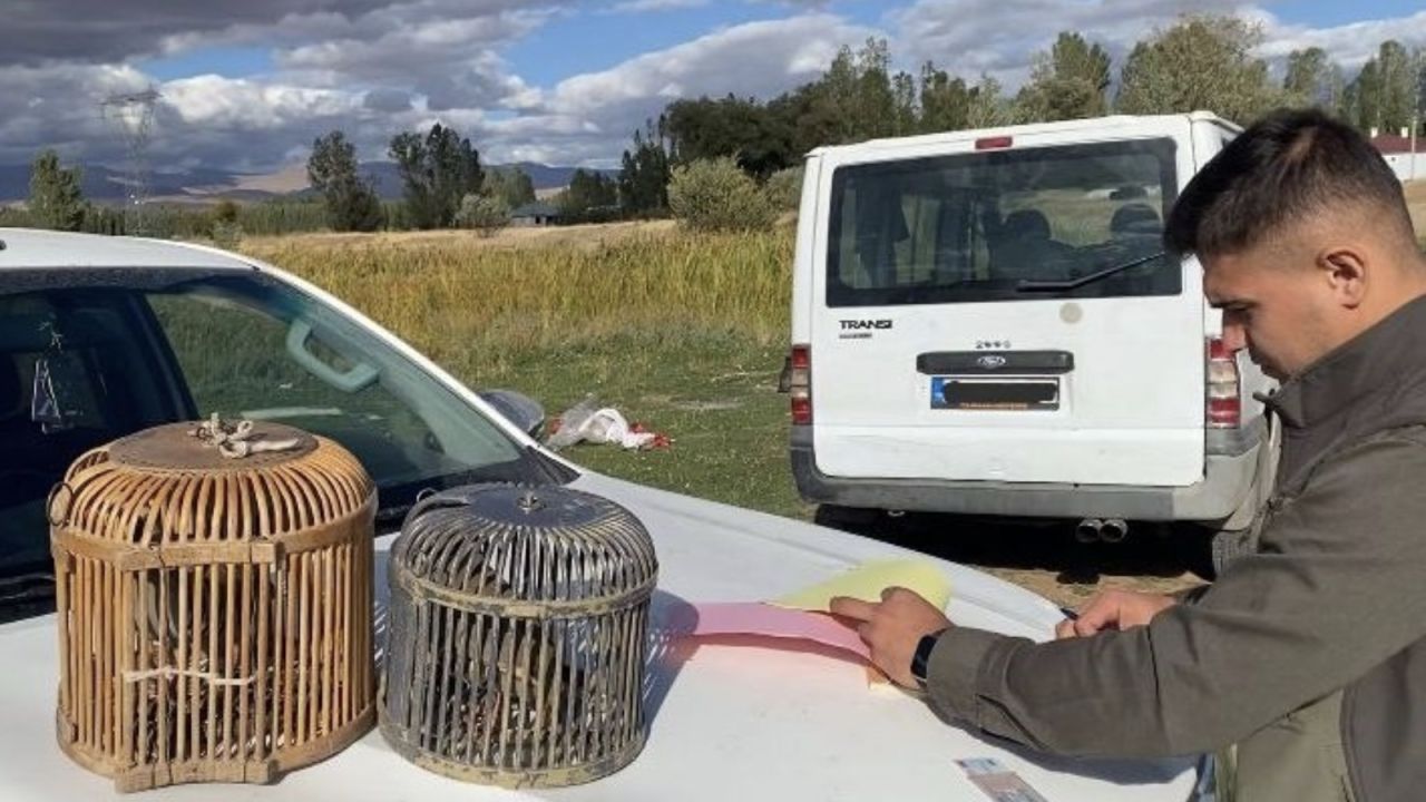 Van'da Kaçak Keklik Avına Büyük Ceza
